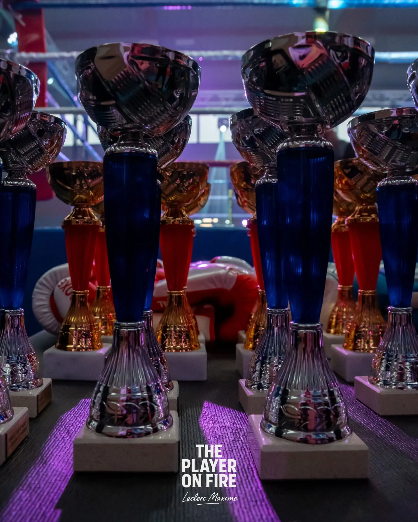 Coupes et trophées du club exposés en compétition