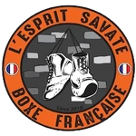 Logo L'Esprit Savate Boxe Française